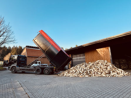 Abrollkipper Holztransport